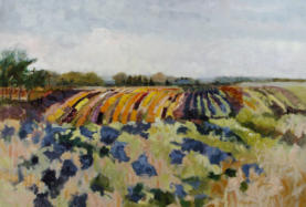 Mums The South Field 44x64